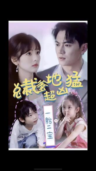 项目seo优化认真负责